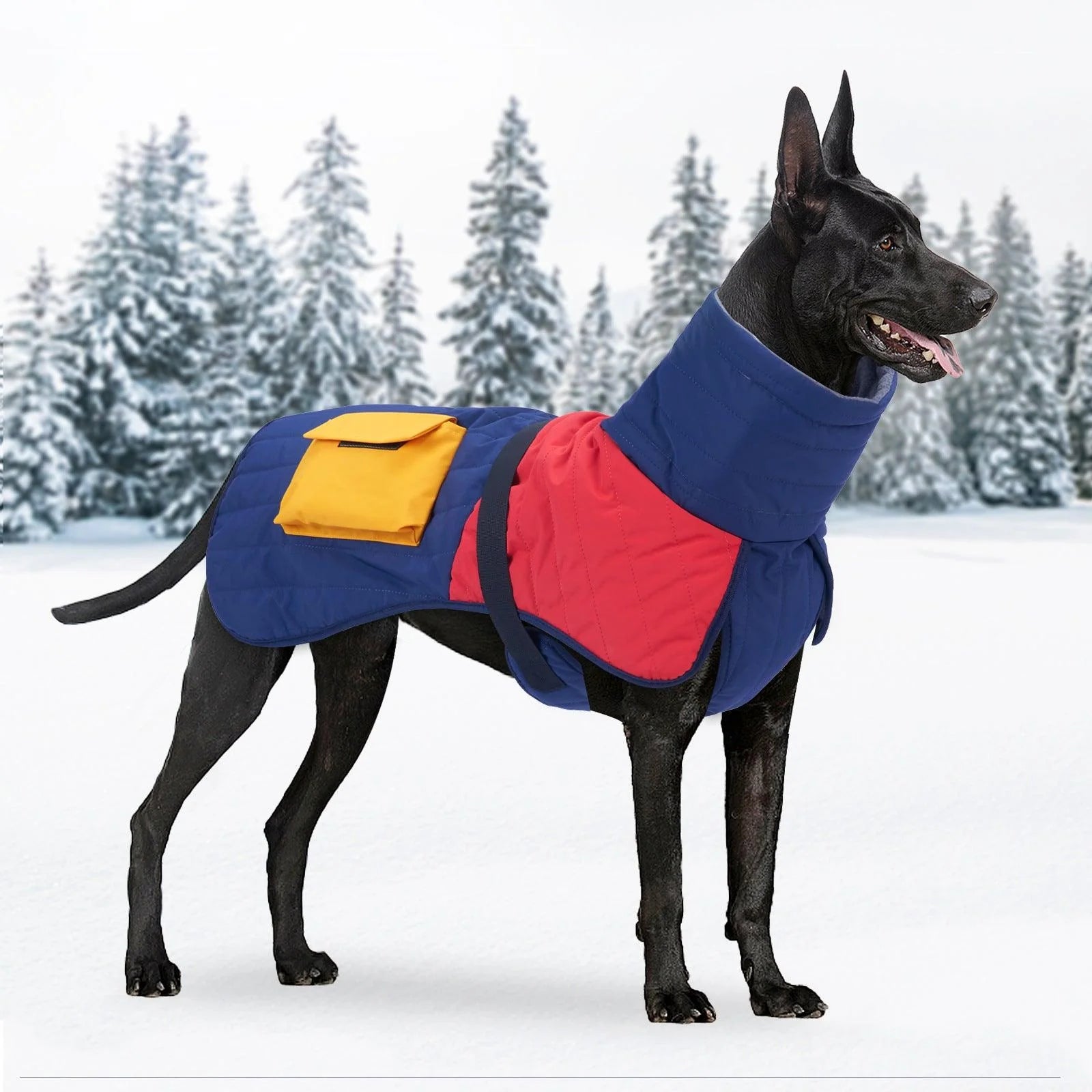 Winter Wonderland Dog Padded Coat