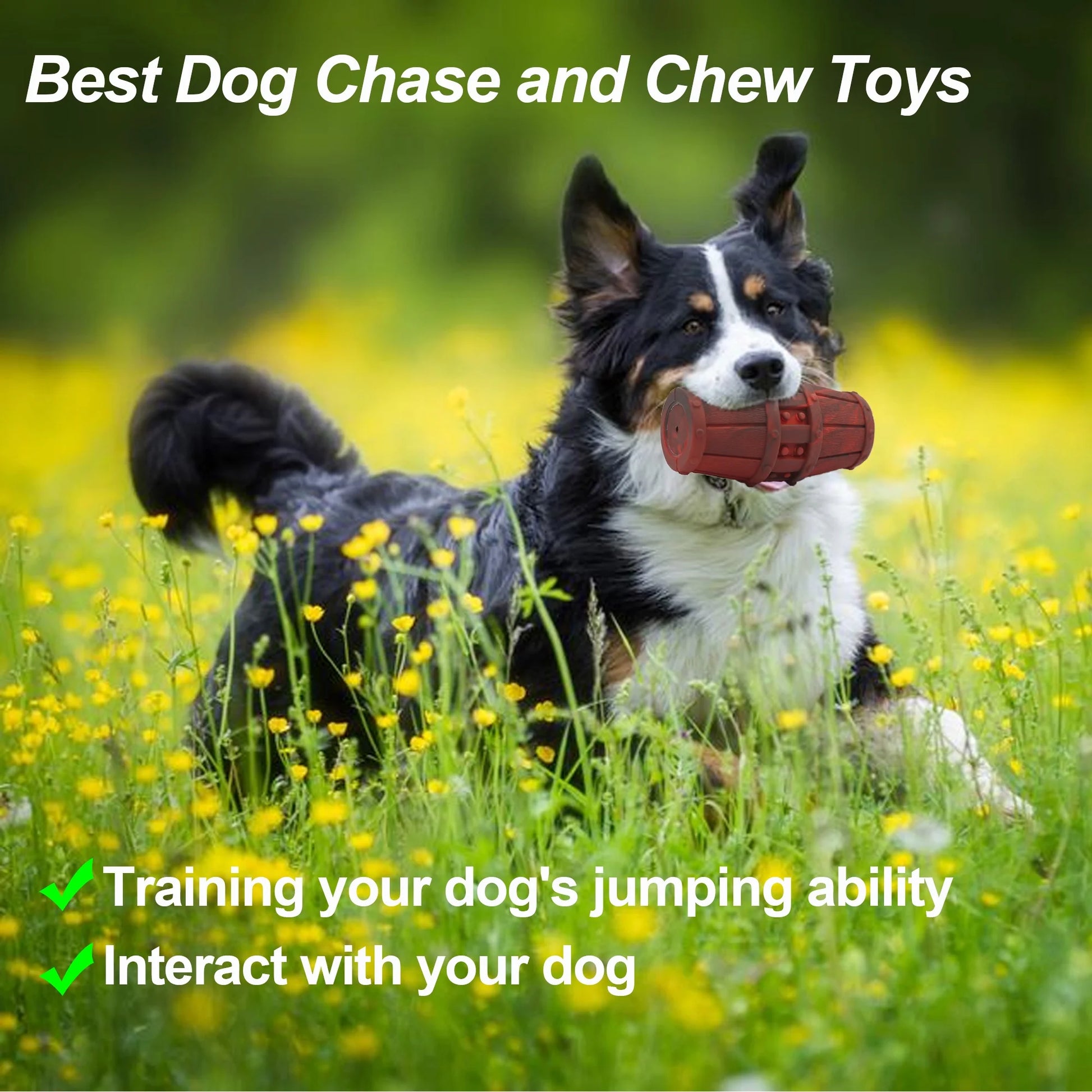 Squeaky Dog Toys for Aggressive Chewers, Indestructible Dog Toys Natural Rubber, Interactive Tough Dog Chew Crocodile Toy for Medium Large Dogs