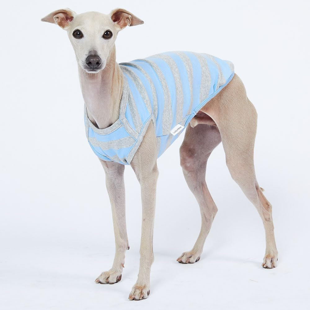 Dog Tank Top Cotton Shirts for Small Dogs Rugby Striped Sleeveless T-Shirts Soft Breathable Cool Dog Shirt Pet Clothes (Medium, Blue/Gray)