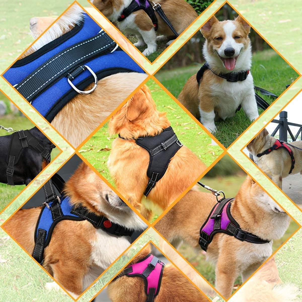 No Pull Dog Harness, Breathable Adjustable Comfort, Free Leash Included, for Small Medium Large Dog, Best for Training Walking Yellow XL