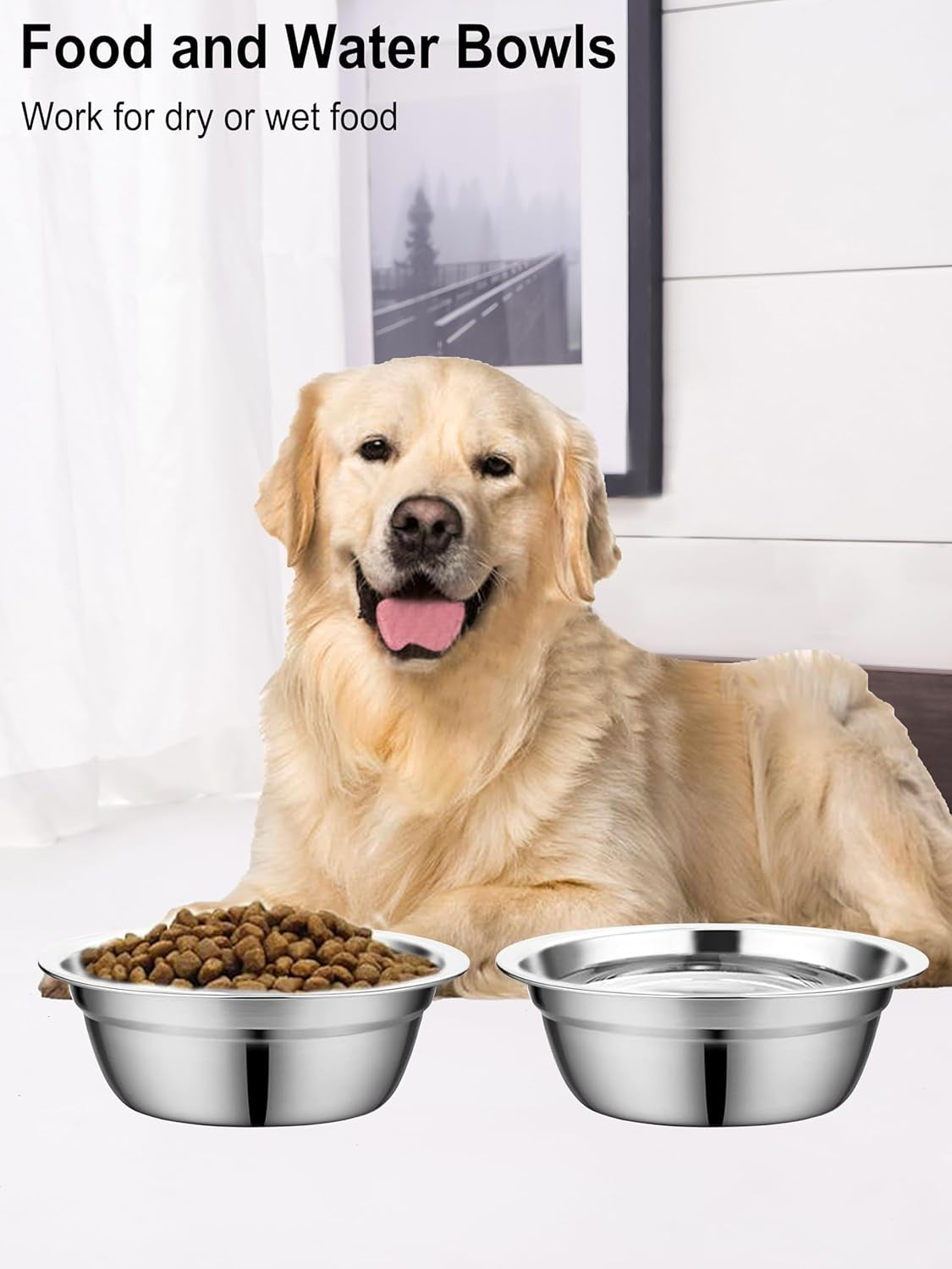 Stainless Steel Dog Bowls, Metal Dog Bowls, Dog Bowls for Small, Medium Sized Dog