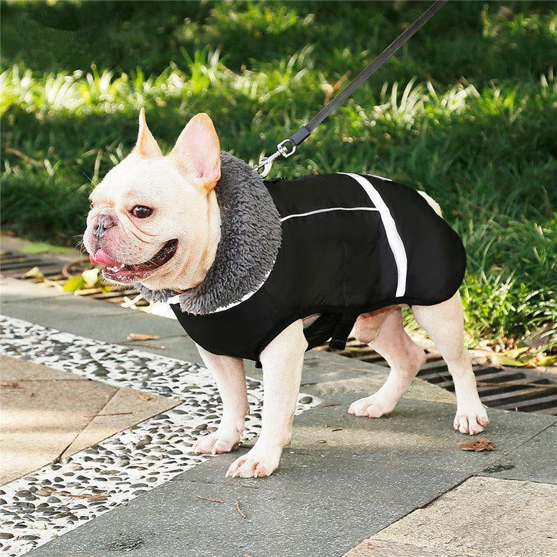 Cozycanine Winter Warmer Vest