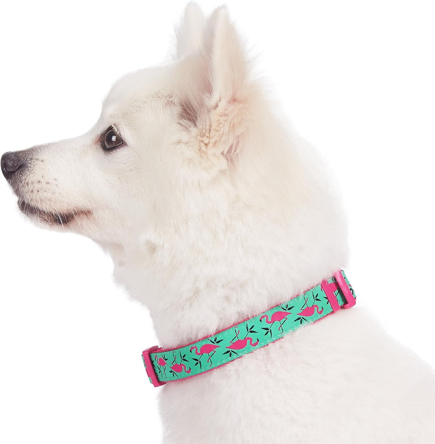 Essentials 10 Patterns Pink Flamingo on Light Emerald Adjustable Dog Collar, Small, Neck 12"-16"