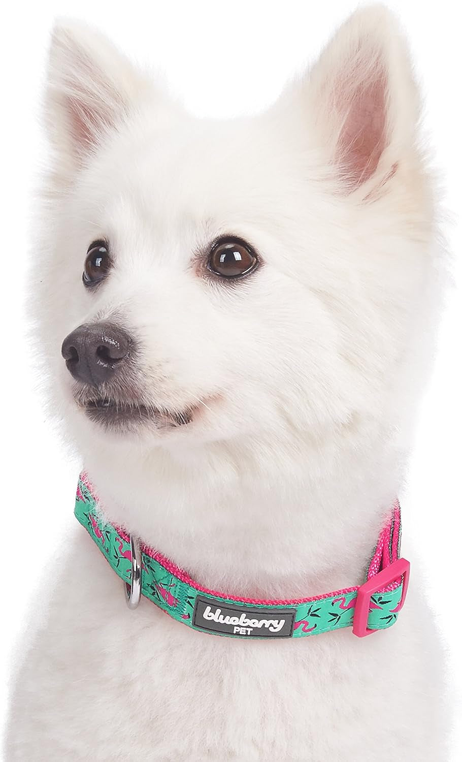 Essentials 10 Patterns Pink Flamingo on Light Emerald Adjustable Dog Collar, Small, Neck 12"-16"