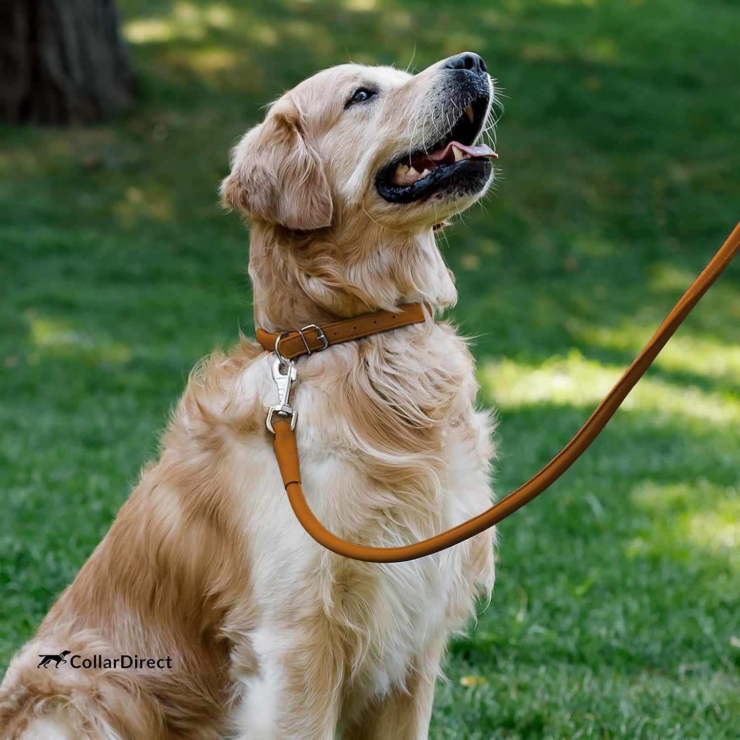 Rolled Leather Dog Collar, Soft Padded round Puppy Collar, Handmade Genuine Leather Collar Dog Small Large Cat Collars 13 Colors (8-11 Inch, Cinnamon Textured)